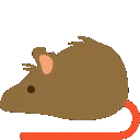 monkeybouncerat
