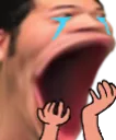 poghands