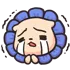 popocry popocry