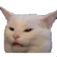 cat1