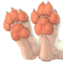 paws5