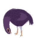 trashdove