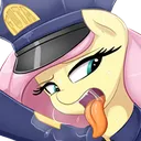 fluttercop