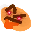 deep_thonk