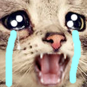 CatCry