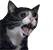 CatRee