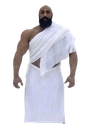 :mosquebrother: Discord Emote