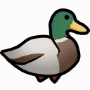 RWDucko