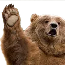 heybear