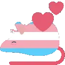 transrat transrat