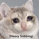 sadcatnoices Discord Emoji