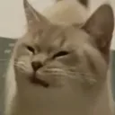 wha