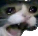 catSCREE
