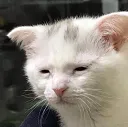 awake_cost