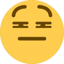 noSuuure