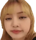 lisa4rl