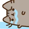 pusheencry