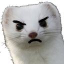 :disgruntledferret: Discord Emote