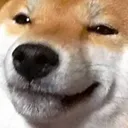 smug