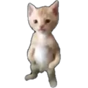 micheal