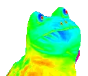 frog