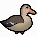 TooMehniDamnDucks