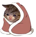 Smolcat
