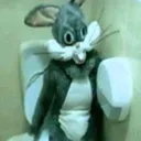 bunni