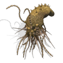 halo_spore Discord emoji