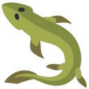 tiktaalik