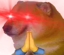 C2_cheemsDORIMEHYPER