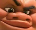 Tui Tui