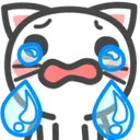 8catcry