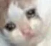 itsover