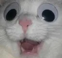 goggleeyes