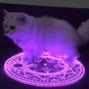 summon