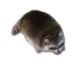 RatGoon RatGoon