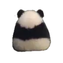 cutepandaangwy
