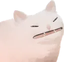 drawncatto