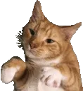 SCdancingginger