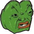 Disgust Disgust