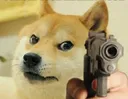 dogeGun