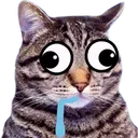 chromoCat