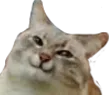 catSmirk