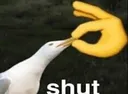 SHUT