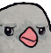 :pigeon: Discord Emote