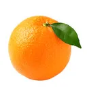 orange Discord Emoji