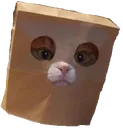 cat_bagdisguise