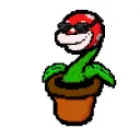 PlantCoolVibe PlantCoolVibe