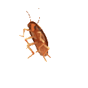 RoachDance Discord emoji